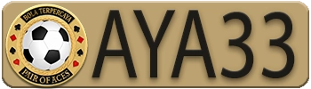 AYA33